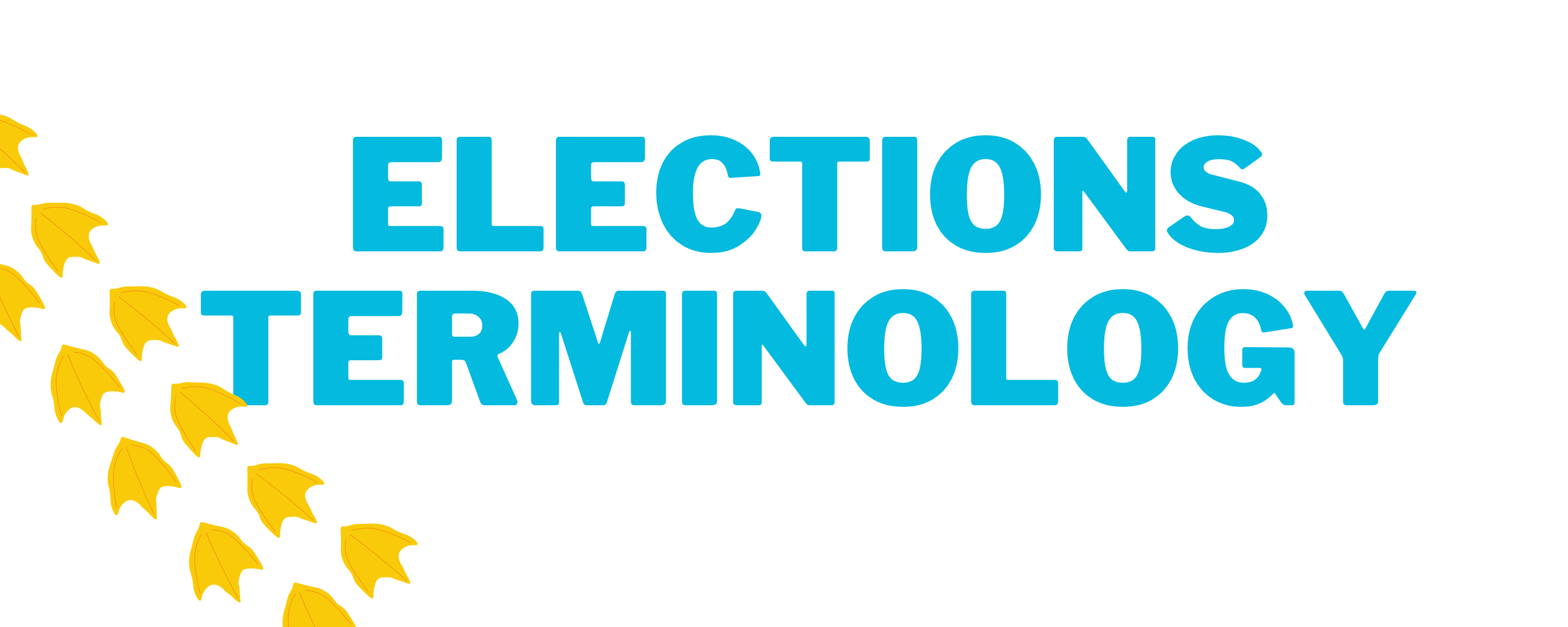 elections terminology